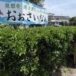 おぉさいなぁ