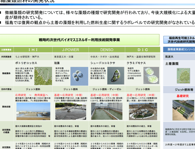 バイオマスエネルギー メリット🌿次世代エネルギーの可能性