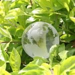 環境保護 なぜ必要？🌳未来を守るためにできること